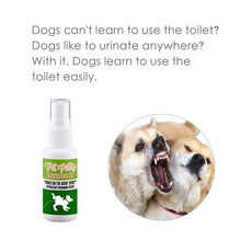 Load image into Gallery viewer, Pet Potty Training Spray