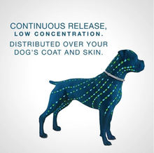 Load image into Gallery viewer, Flea And Tick Collar For Dogs
